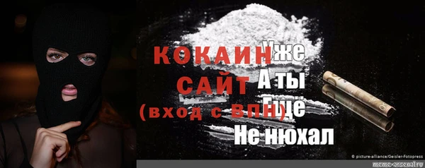 гидропоника Аша
