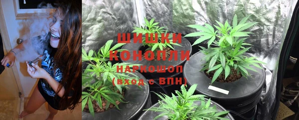 марки lsd Нея